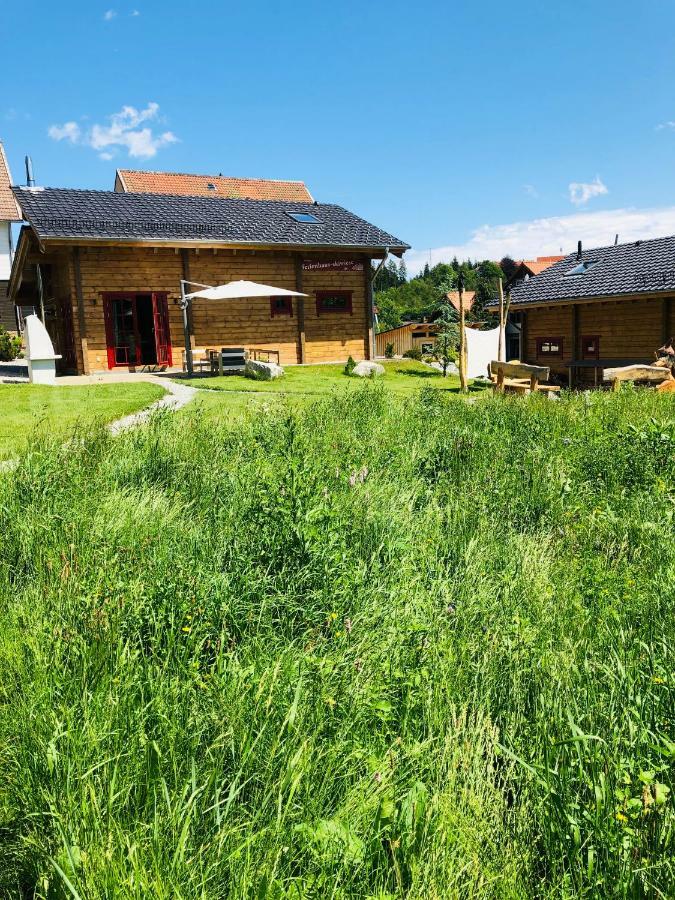 Blockhaus An Der Skiwiese برونلاغ المظهر الخارجي الصورة